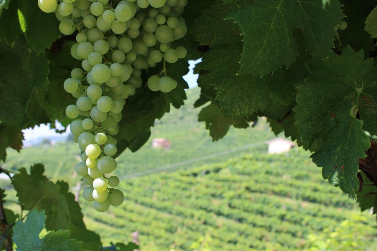 Agriturismo Panigai